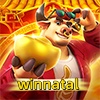 Logo da winnatal